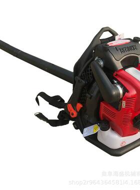 马RWP路沙杂渣物电吹灰机沥青路面灌缝前动清机铁路石吹风机