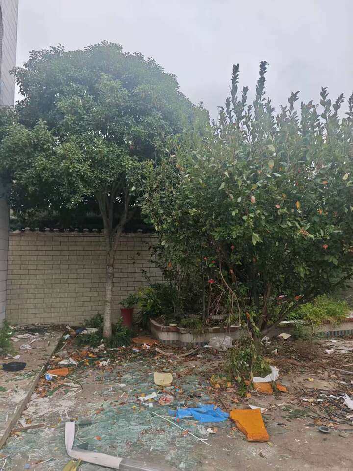 盐宜铁路胡庄段买断树木