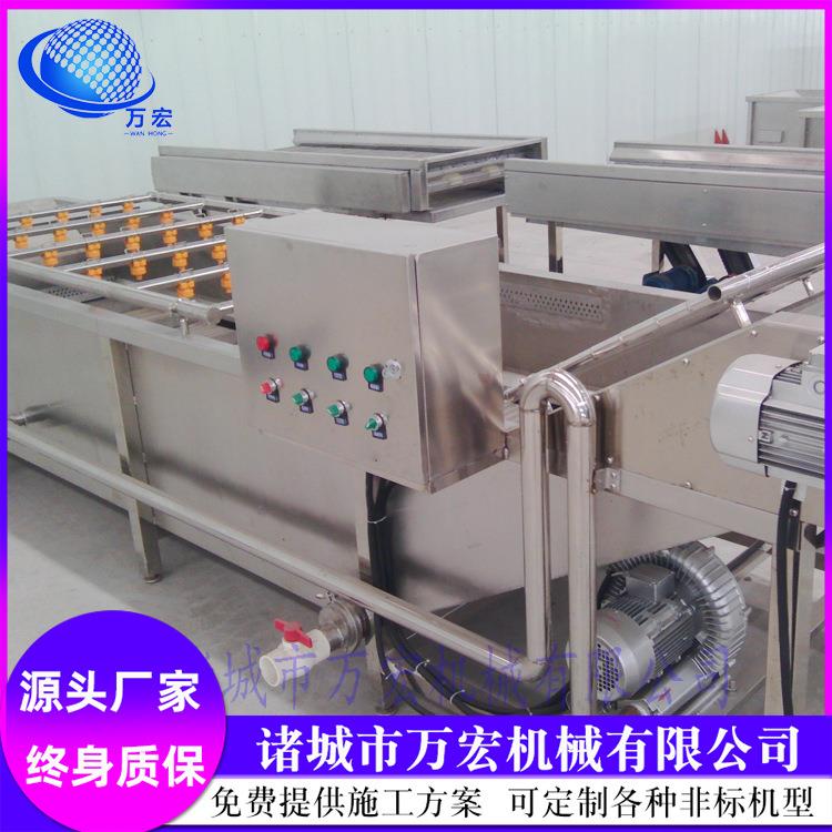 供应马铃薯根茎类果蔬清洗机万宏牌蔬菜海鲜清洗机