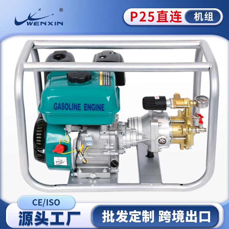 打药泵高压打药机农用打药喷雾器打农药机器喷雾机打农药的喷雾器