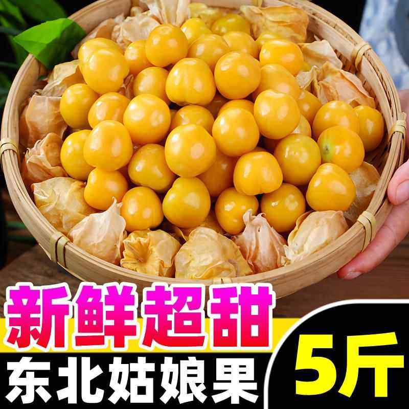 东北姑娘果特产新鲜当季孕妇水果整箱灯笼果黄菇娘洋姑娘果特大果,水产肉类/新鲜蔬果/熟食,菇娘果/灯笼果,淘宝优惠券,粉丝福利购,淘宝优惠卷