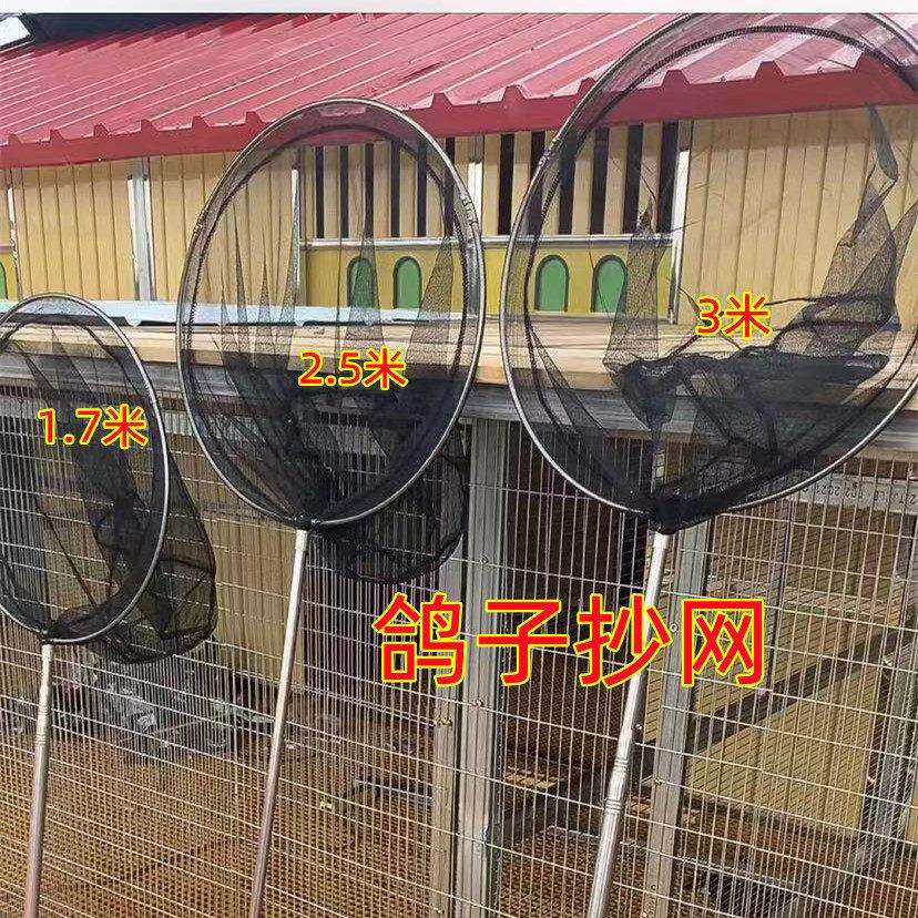 捕鸽套网神器不锈钢杆可伸缩鸽子捞网鸽用具种鸽幼鸽信鸽鸽子用品