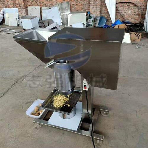 志强机械加工商用果蔬打碎机 大蒜泥粉碎机 定制韭菜姜末切碎机