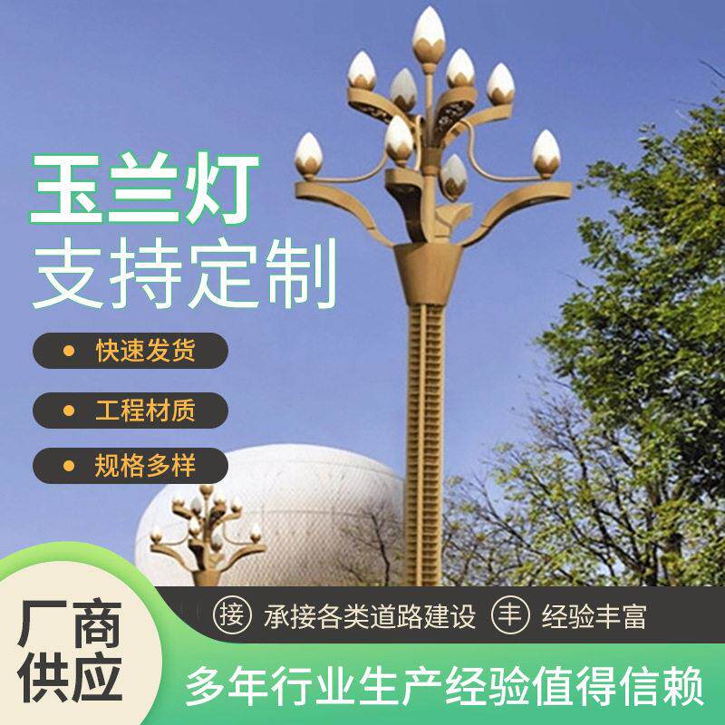 3米4米异形方形中式灯户外异形灯广场街道公园道路照明灯厂家