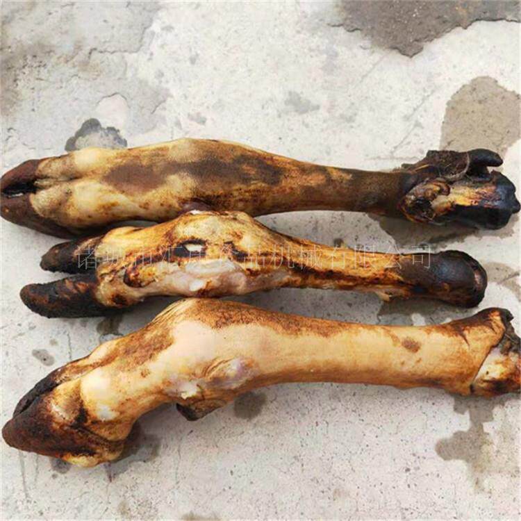 汇康猪皮双层网带烧毛机 五花肉皮燎毛机 液化气禽类皮烤毛机