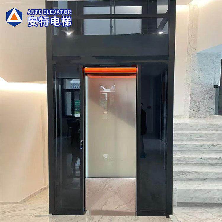 家用电梯复式阁楼自建房二三四五六层室内外观光曳引液压电梯厂家