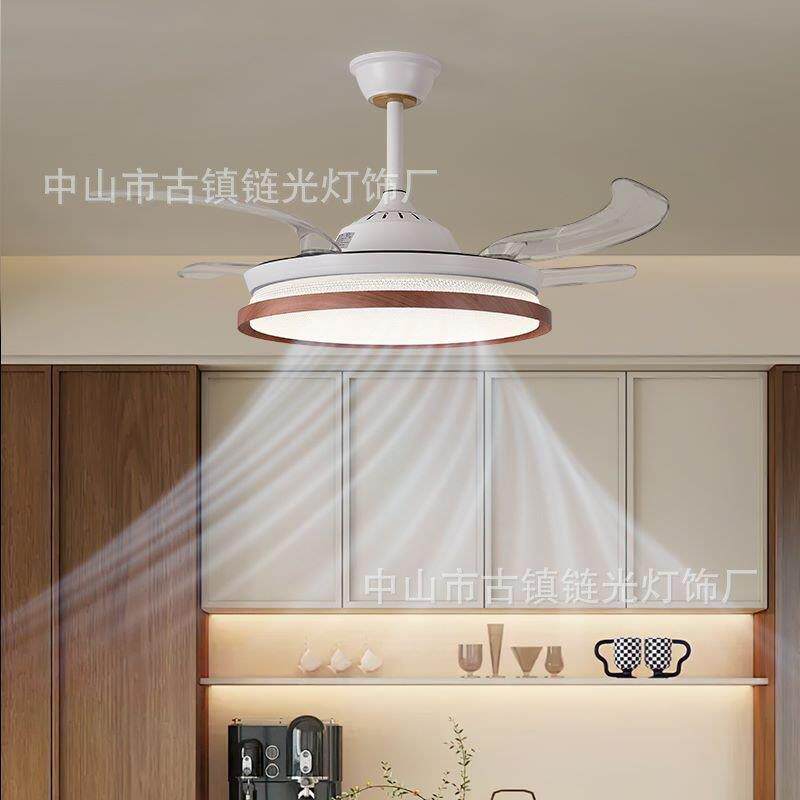 隐形风扇灯吊扇灯电扇家用餐厅客厅2025新款一体现代简约吸顶吊灯