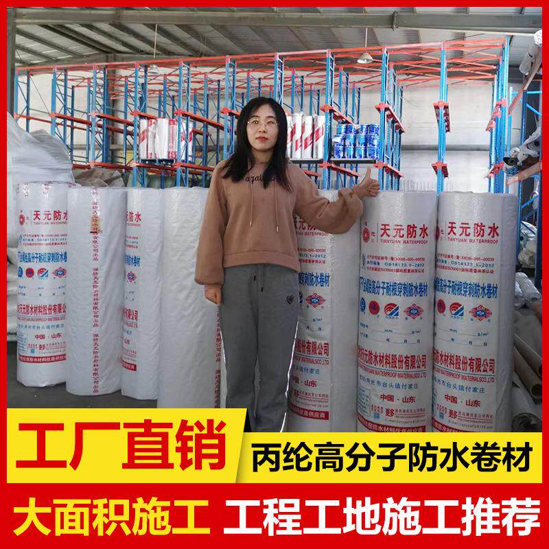 聚乙烯丙纶复合防水卷材室内用400克国标丙纶布涤纶抗裂防裂