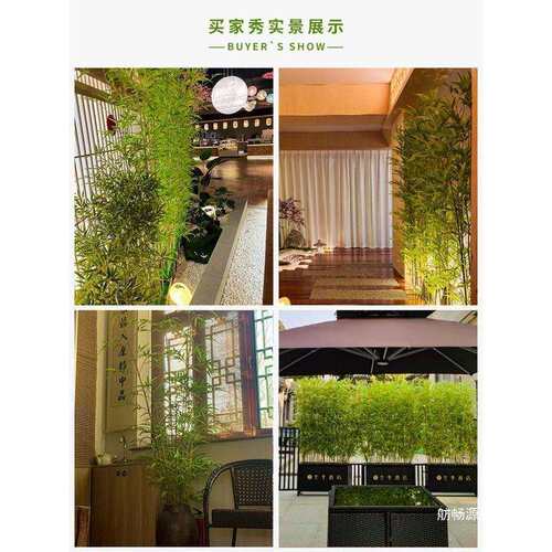 景观假竹子造景酒店室内新中式竹子竹子装饰绿值客厅细水毛竹