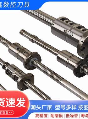 工厂专业销售双螺母单螺母大导程滚柱丝杠副梯形不锈钢丝杠