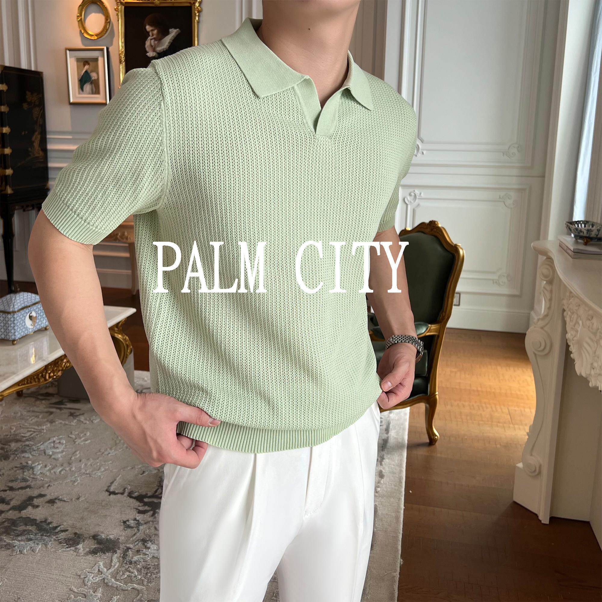 【PALM】短袖POLO衫男夏季薄款针织翻领T恤高级感休闲纹理透气潮