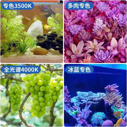 30W工程款led射灯全光谱植物补光灯泡E27兰花睡碗莲鱼缸爆藻灯