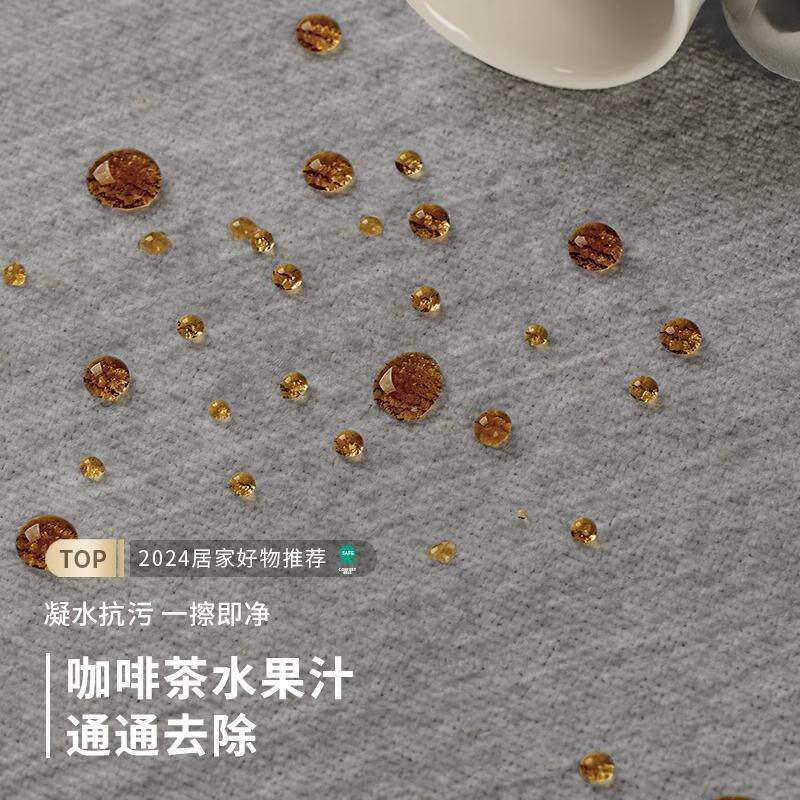 分销地毯客厅2024新款灰色免洗可擦轻奢高级感家用防水懒人沙发垫