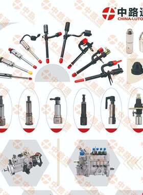 燃油泵总成的型号NJ-VE4/12F1300R558-2