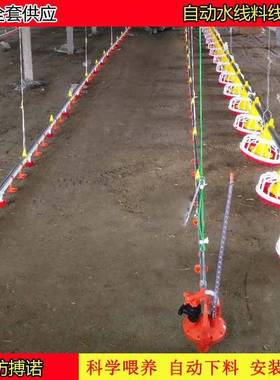 自畜牧养殖设备动DMK料线机水线喂器饮水器自动上食料山东料线散