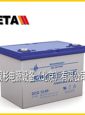 PG-12V21法国POWERSONIC蓄电池12V18.9AH密闭电池 电动机车