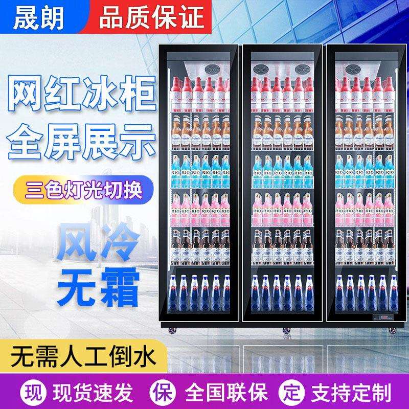 啤酒柜饮料柜酒水展示柜冷藏网红冰柜商用冷柜单双门三门酒吧冰箱