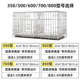 寶信鴿籠配對籠大型白鴿籠繁殖籠 鴿子籠養殖專用籠家用大號特大元