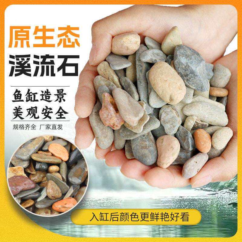 思博鱼缸水族箱铺底砂造景原生溪流石小石子花盆栽天然鹅卵石庭院
