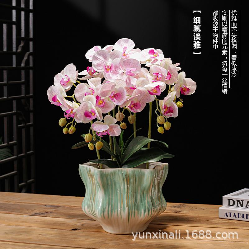 高级设计感陶瓷蝴蝶兰花盆盆景盆客厅家用摆件创意花器新中式