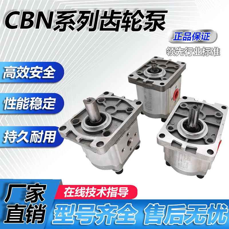 液压齿轮泵油泵总成CBN-F310/314/316/20/25小型高压高压泵