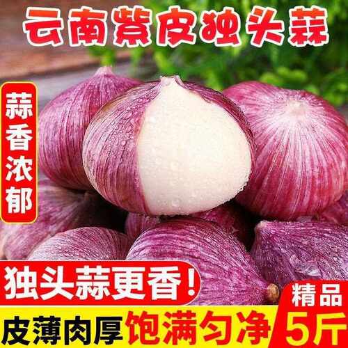 独头蒜湿独头蒜大果新鲜大蒜新蒜紫皮大蒜头独蒜圆蒜鲜蒜