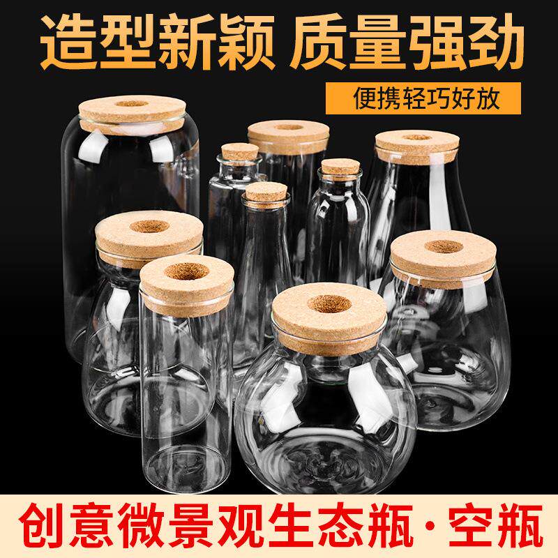 生态瓶DIY鱼微景观生态球高朋硅创意设计花瓶玻璃鱼缸办公桌热卖