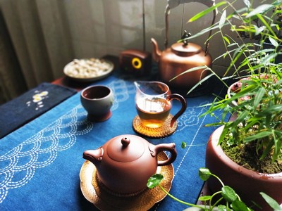 惊天内幕!恽海阁紫砂壶怎么样?专家鉴定内幕是真假呢？