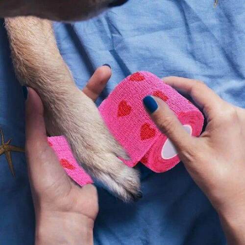 Non-woven Fabrics Pet Bandage Red Heart Patterns