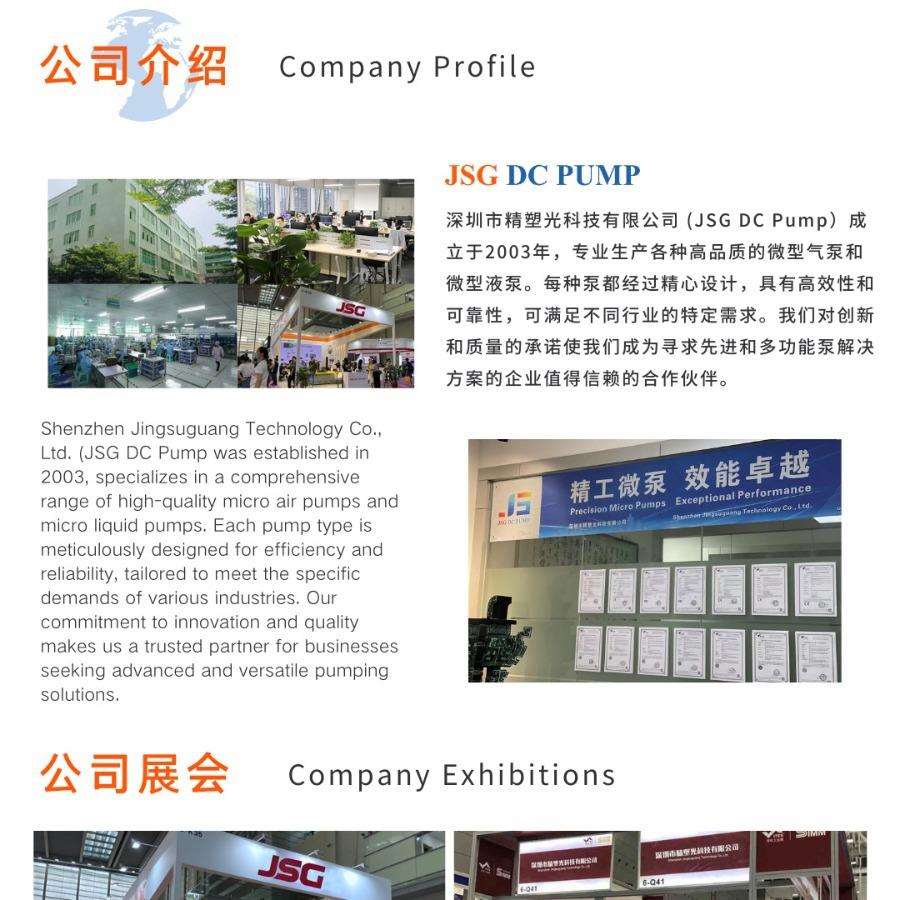 直流抽气离心泵12V卧式增压卫生级潜水微型无刷打气微型荐迷你