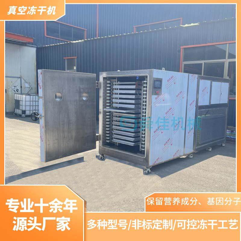 牛蒡葛根低温脱水冻干机中药材地黄真空冷冻干燥机金银花冻干机