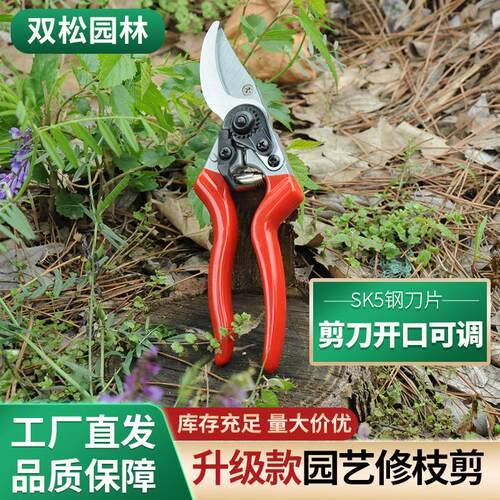 新款修枝剪 园艺修枝剪 果枝剪 手剪 粗枝剪刀园林修剪工具