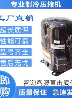 冷库压缩机TAG2522Z/TAG2516Z/TAG2511Z/TAG2522K泰康低温压缩机