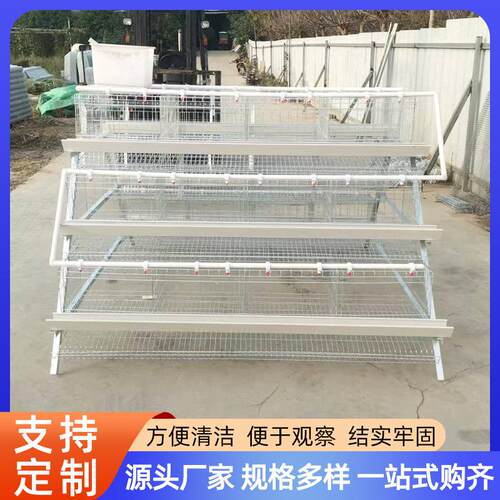 四层蛋鸡笼A型鸡笼热镀锌笼养设备出口鸡笼阶梯式a型层叠笼具