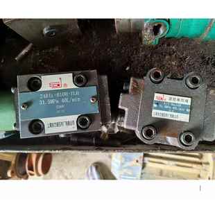 TLH液压阀现货直发 B10H 全新原装 东方液压24BI1