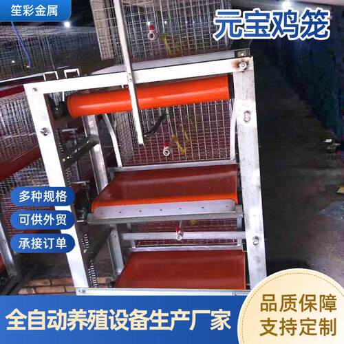 冷镀锌全自动清粪捡蛋畜牧养殖设备蛋鸡笼元宝型简易多层叠肉鸡笼