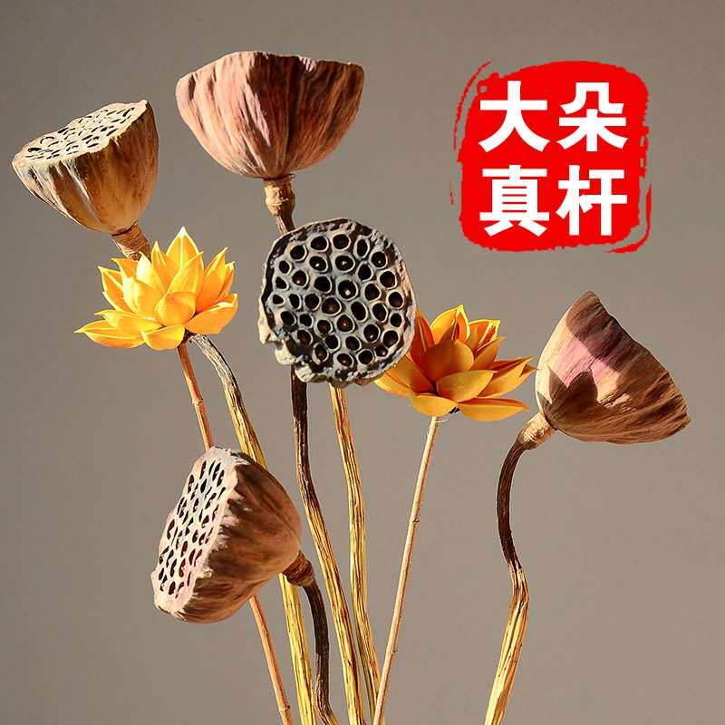 天然真杆莲蓬干花禅意风干莲藕仿真荷花莲花家居装饰摆件