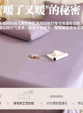 加磨毛棉床单单件aEX250620类母婴级厚100全棉纯宿舍单紫被单床人