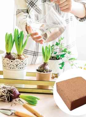 Organic Soilless Cultivation Nutrient Soil Organic and Envir