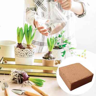 Organic Soilless Cultivation Nutrient Soil Organic and Envir