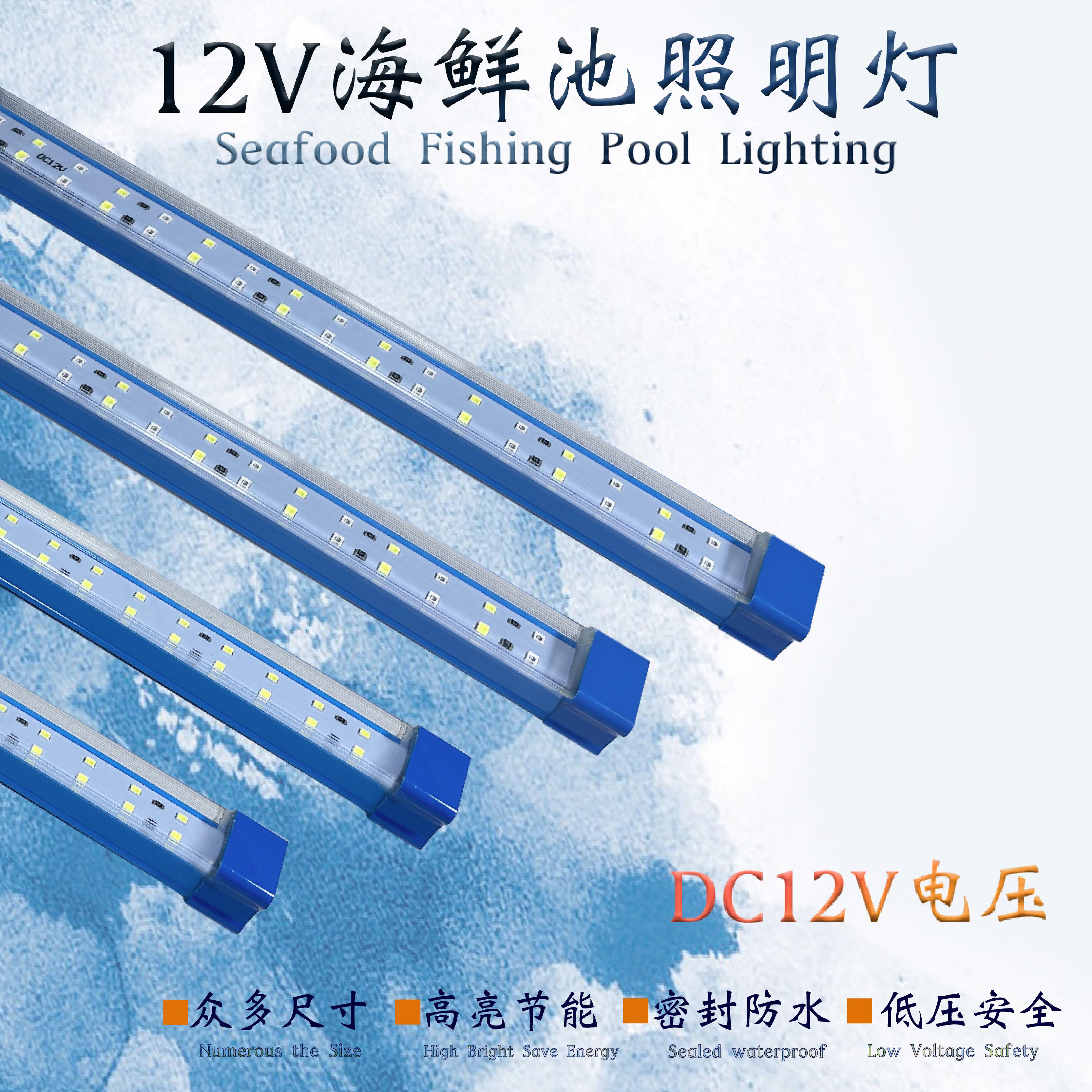 220V-海鲜池鱼缸LED照明灯节能防水方管蓝色外壳PVC管道配件灯光