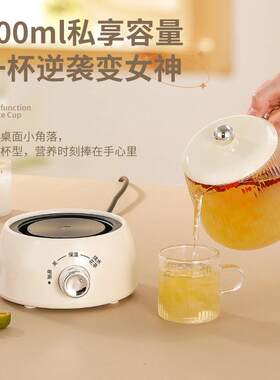 养生壶专用办公室花茶杯多功能家用迷你小型一体玻璃煮茶杯烧水壶