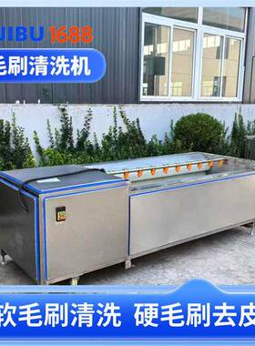 红薯土豆清洗去皮机厂家海鲜去泥机商用全自动毛辊清洗机