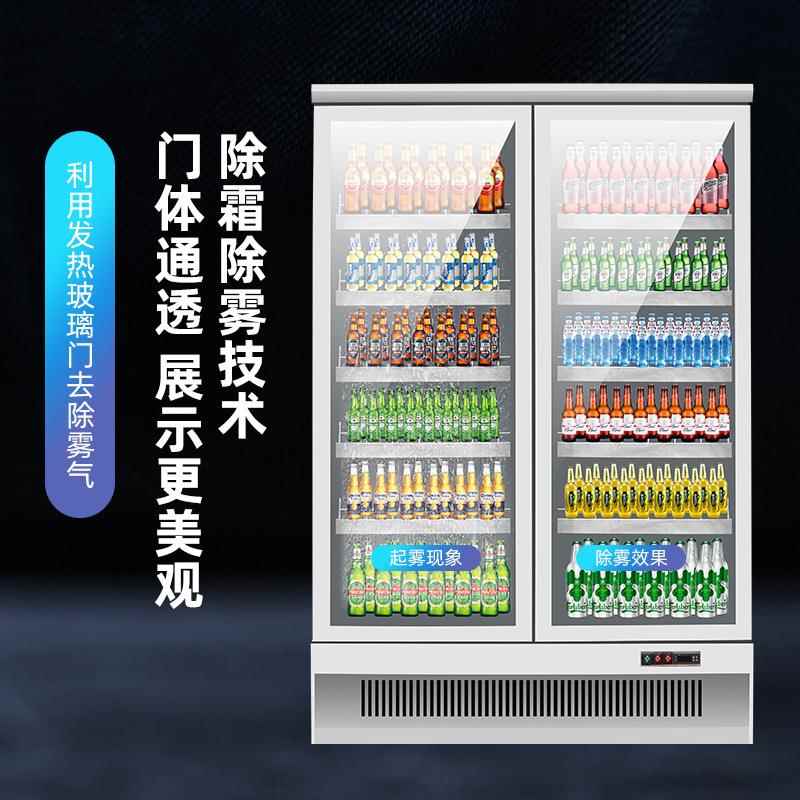冷式冻柜用玻璃冷门立冰柜保鲜冷藏冻设备便利店鲜花商商692用冷