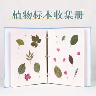 植物标本收集册儿童干花树叶标本收纳册diy自粘贴式自制覆膜相册