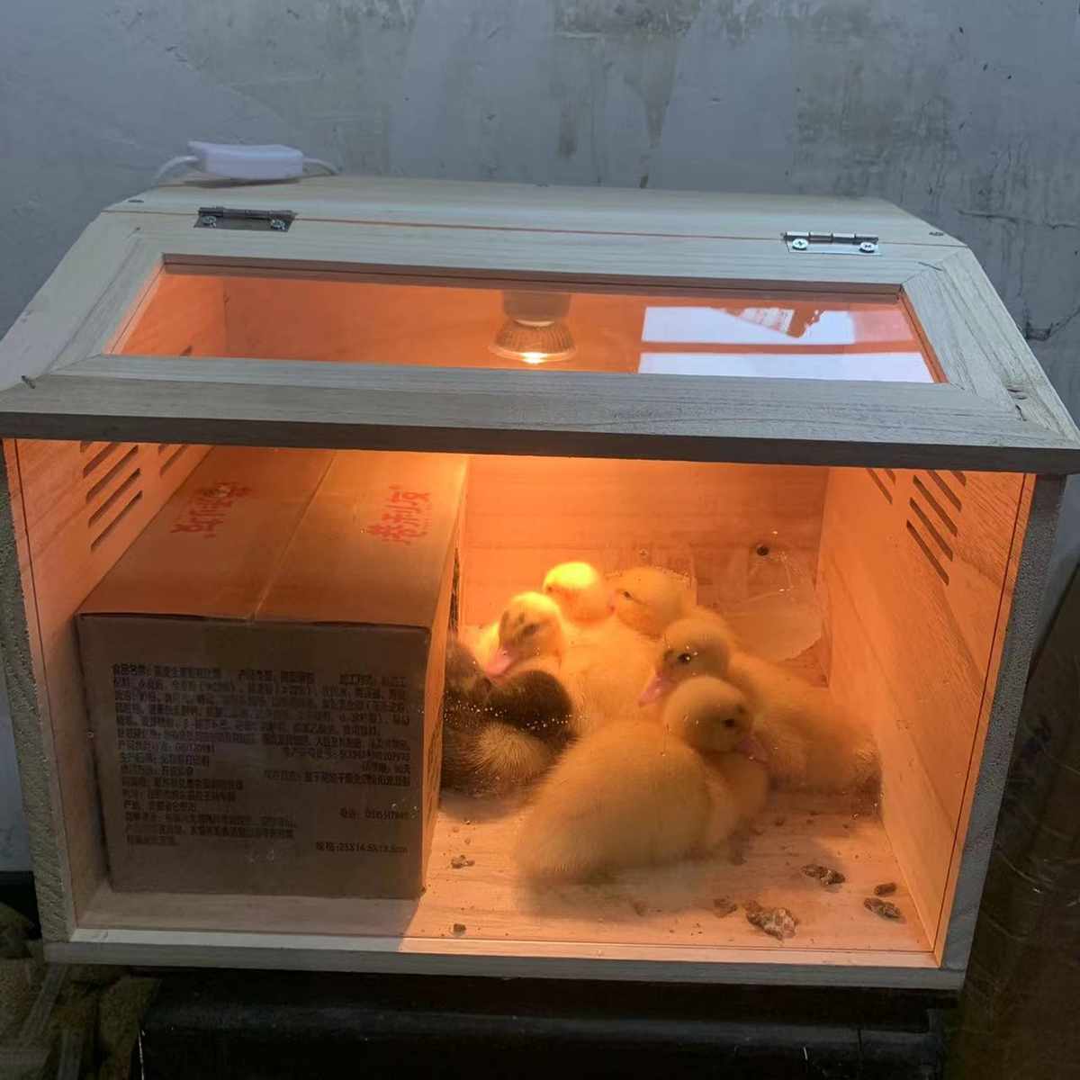 实木宠物鸭芦丁鸡饲养箱育雏养殖专用宠物窝大房屋鸭鸭恒温造景箱