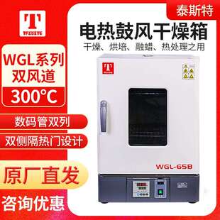 65B 45B 125B 230B 电热鼓风干燥箱 天津泰斯特WGL 625B立式 30B
