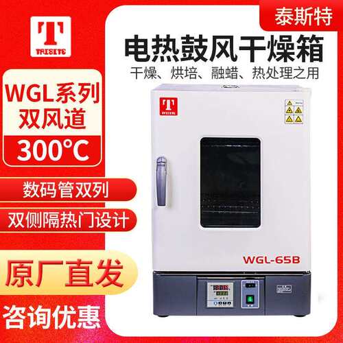 天津泰斯特WGL-30B/45B/65B/125B/230B/625B立式电热鼓风干燥箱