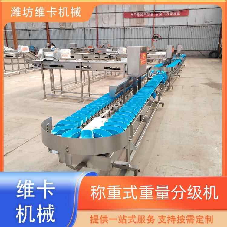 流水线动态称重机 粽子月饼全自动重量分选机重量分拣检测机