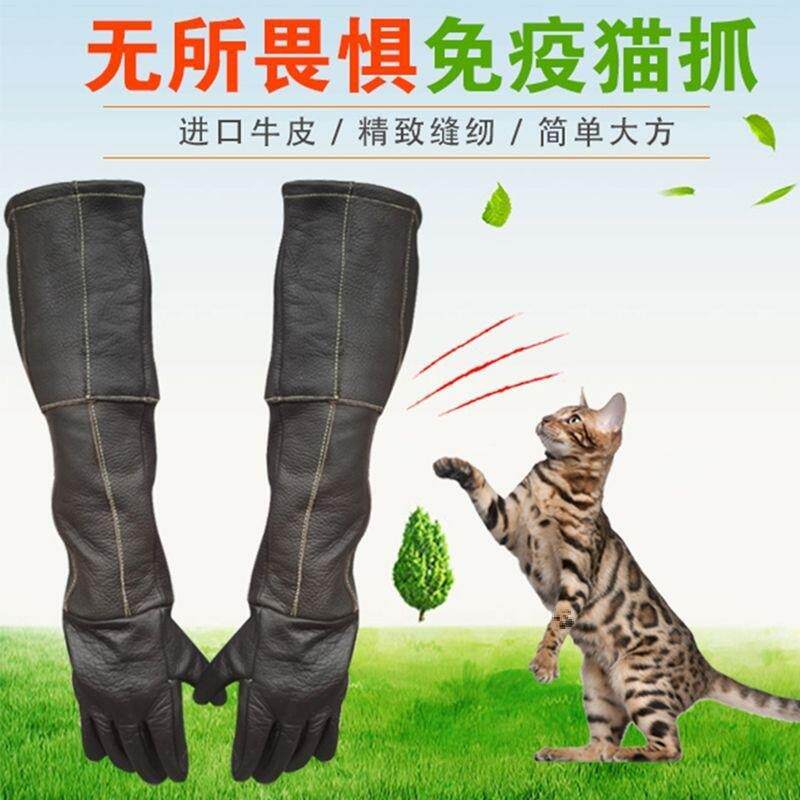 防小宠物咬手套防猫抓逗狗狗咬猫毛绒/玩偶/公仔/布